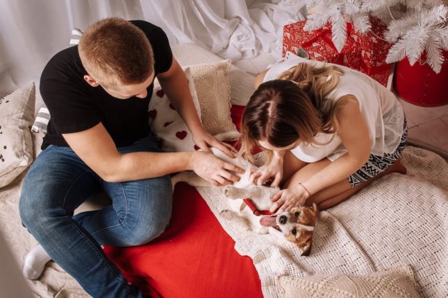 famiglia con cane